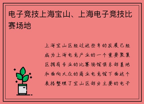 电子竞技上海宝山、上海电子竞技比赛场地